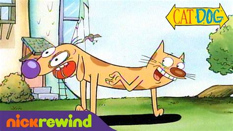 nickelodeon cat dog|CatDog’s First & Last Scenes .